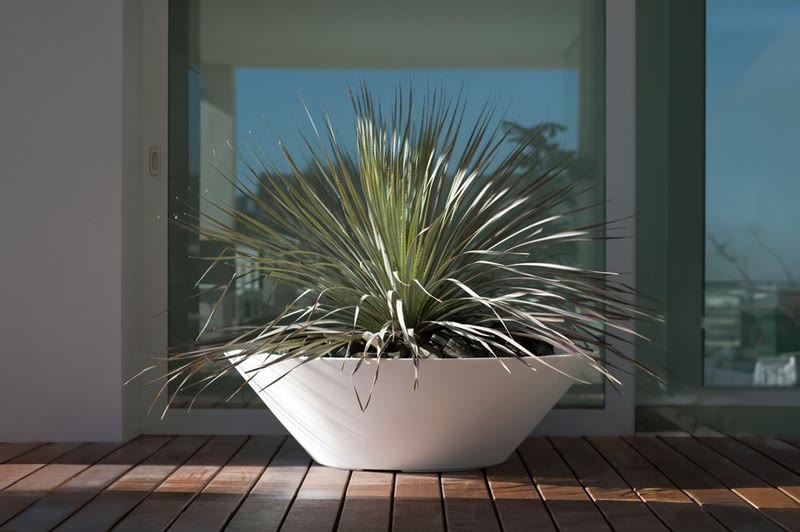 Grand pot de fleurs d'extérieur : tailles, matières et conseils de plantation