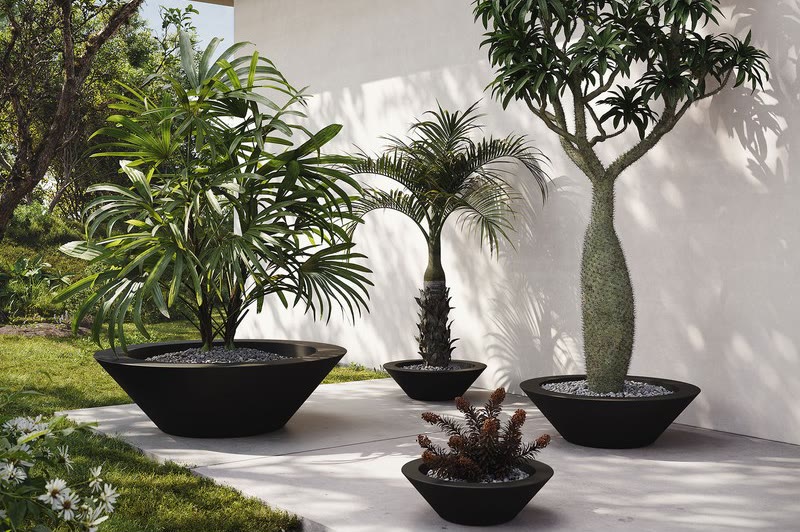 Coupes CENTRO de VONDOM plantées de palmiers et de succulentes