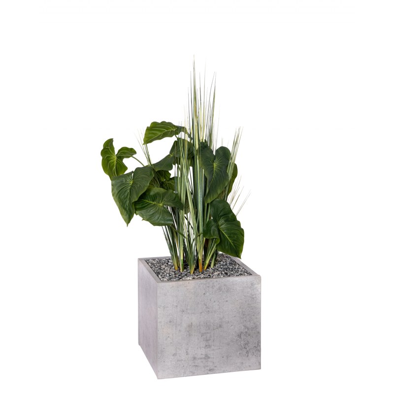 Bac carré BOSCO HERBES ANTHURIUM - GENEXCO