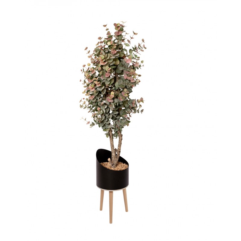 Bac métal VAGUE sur pieds bois EUCALYPTUS - GENEXCO