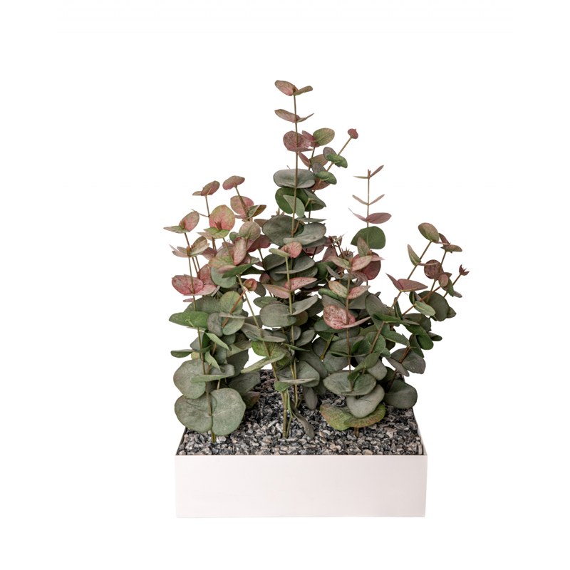 Plateau végétal COLLINE EUCALYPTUS ROSE 30 x 30 - GENEXCO
