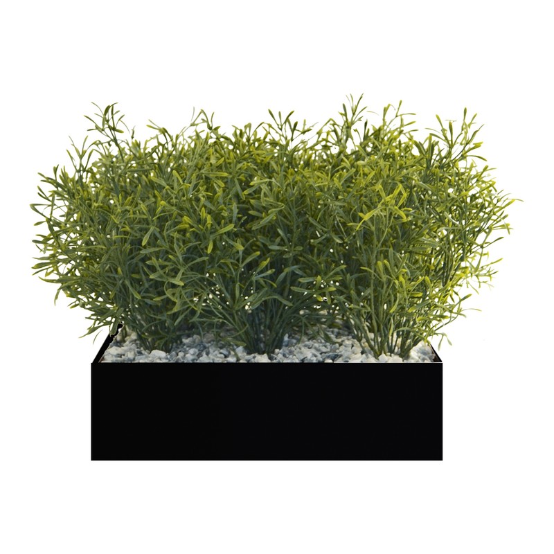 Plateau végétal COLLINE MANUKA 30 x 30 - GENEXCO
