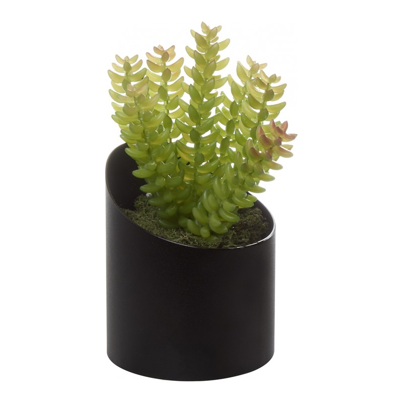 Pot métal VAGUE ECHEVERIA - GENEXCO