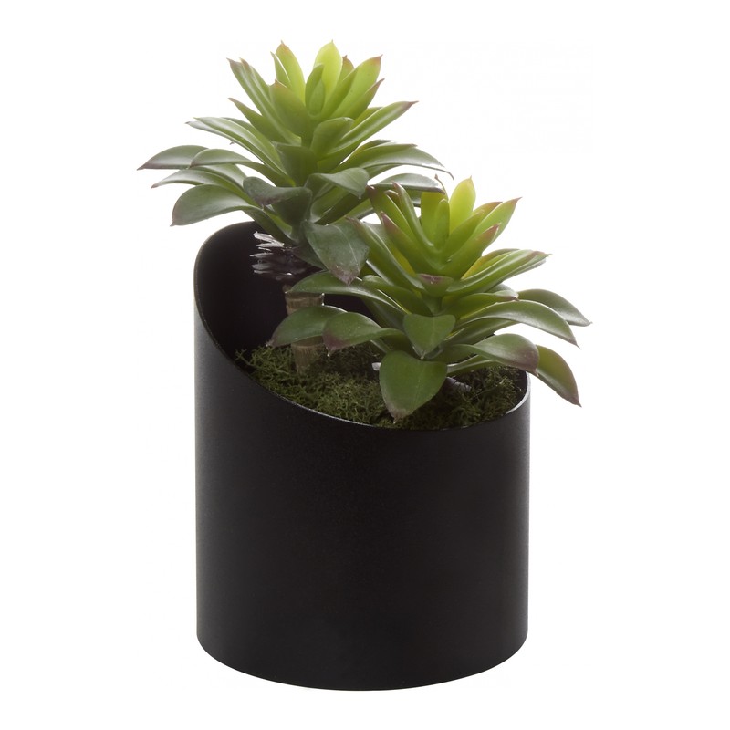 Pot métal VAGUE SEDUM - GENEXCO