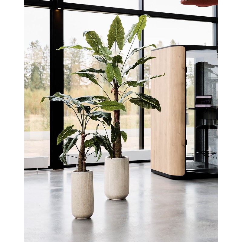 Alocasia artificiel