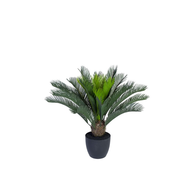 Cycas du Japon avec pot noir artificiel