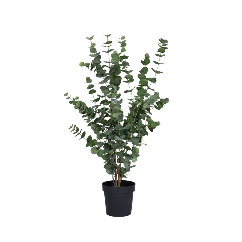 Eucalyptus artificiel