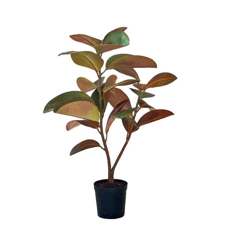 Ficus elastica artificiel