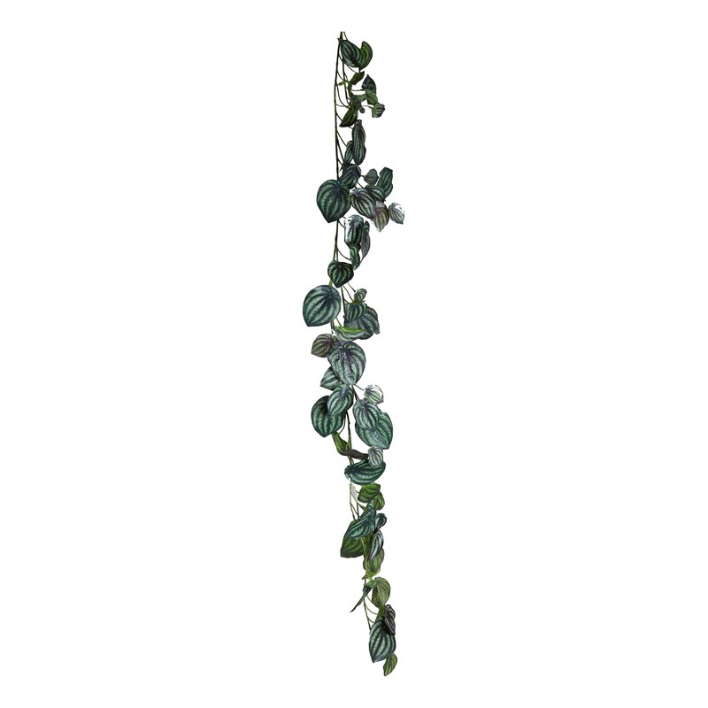 Guirlande artificielle de peperomia