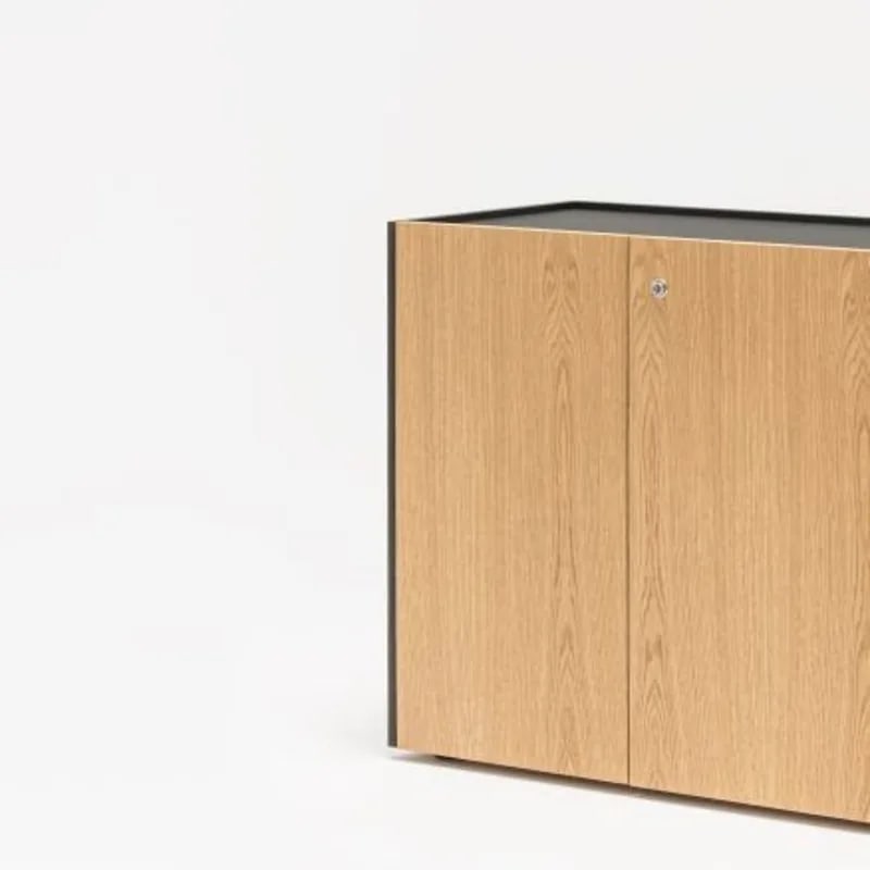 Armoire basse porte battante VIGA