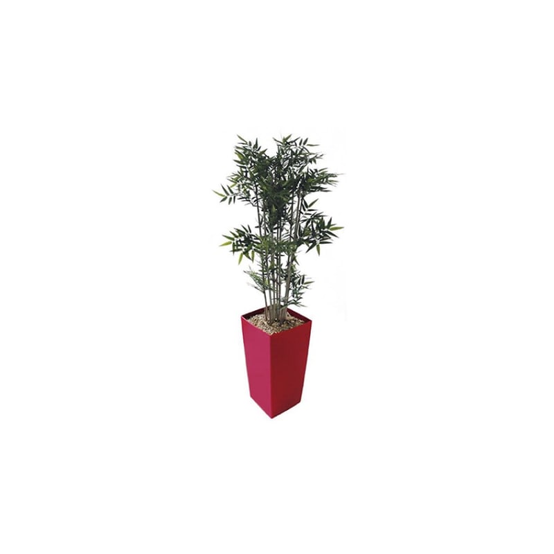 BAMBOUS artificiels en petit bac GENEXCO