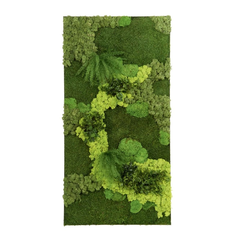 Cadre végétal rectangulaire GENEXCO
