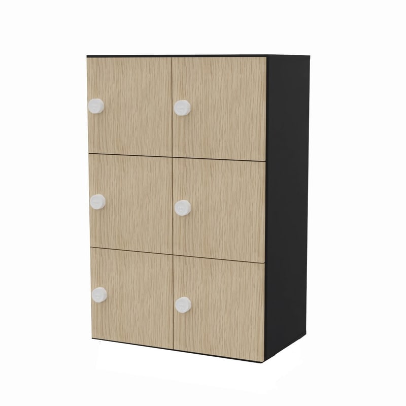 Casiers de bureau 6 cases EKO