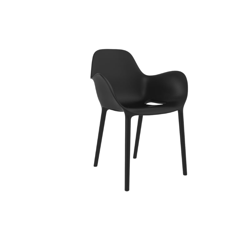 Chaise avec accoudoirs SABINAS - noir