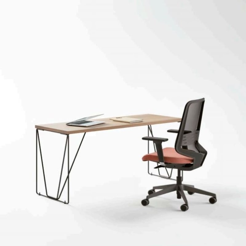 Fauteuil ergonomique DOT.HOME COLOUR