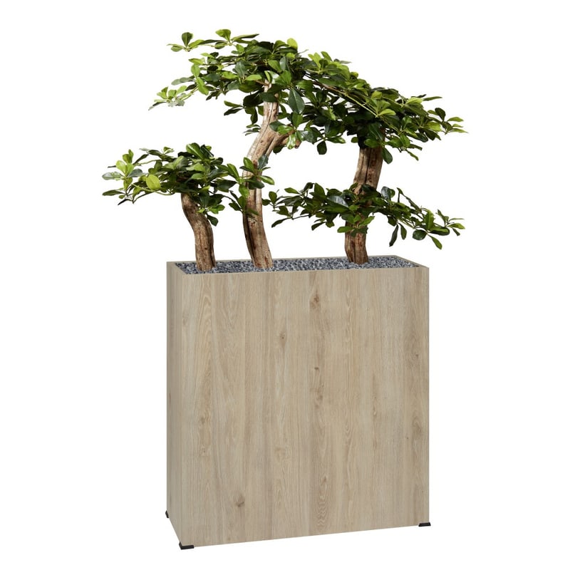 Jardinière BOSCO H 147 cm BONZAÏ