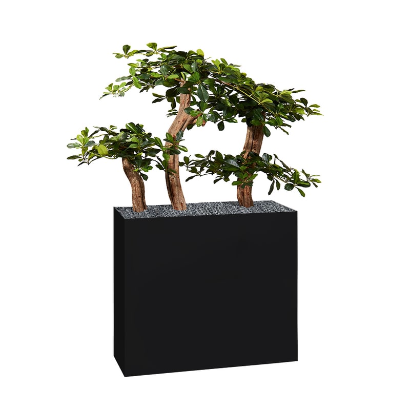 Jardinière FERRO H 147 cm BONZAÏ