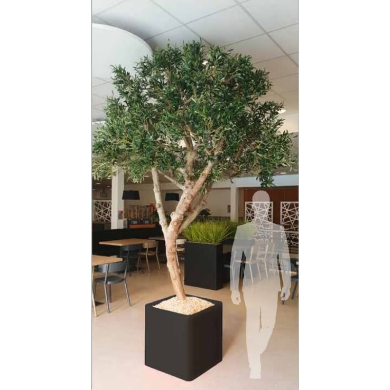 OLIVIER artificiel - grand arbre d'intérieur