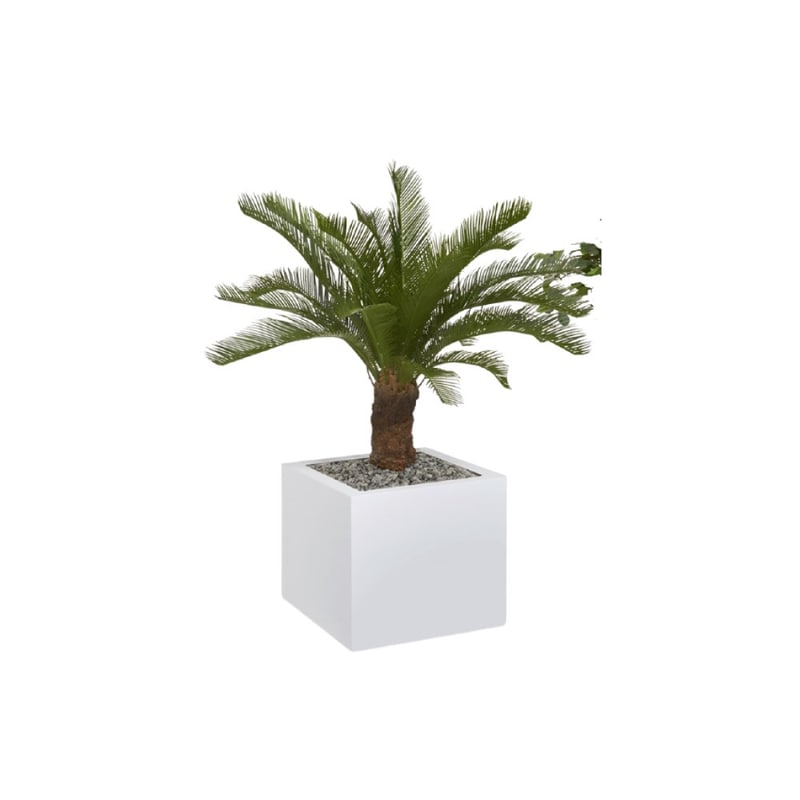 PALMIER artificiel O'CARRÉ H 102 cm