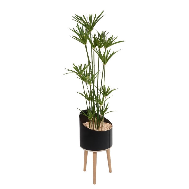 PAPYRUS artificiel en bac pieds bois