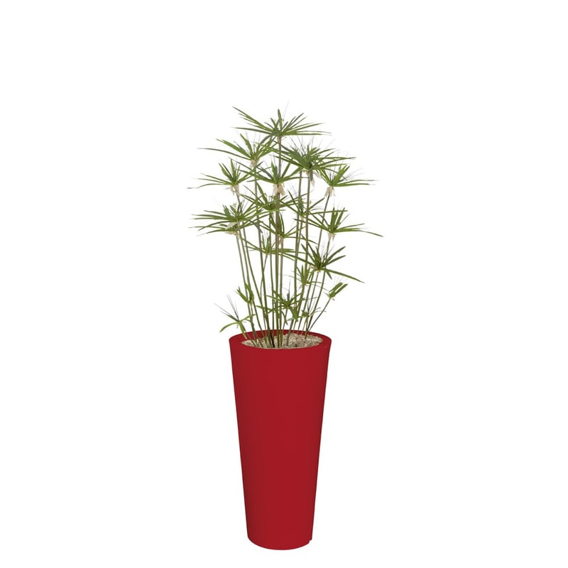 PAPYRUS artificiel en bac rond en plastique