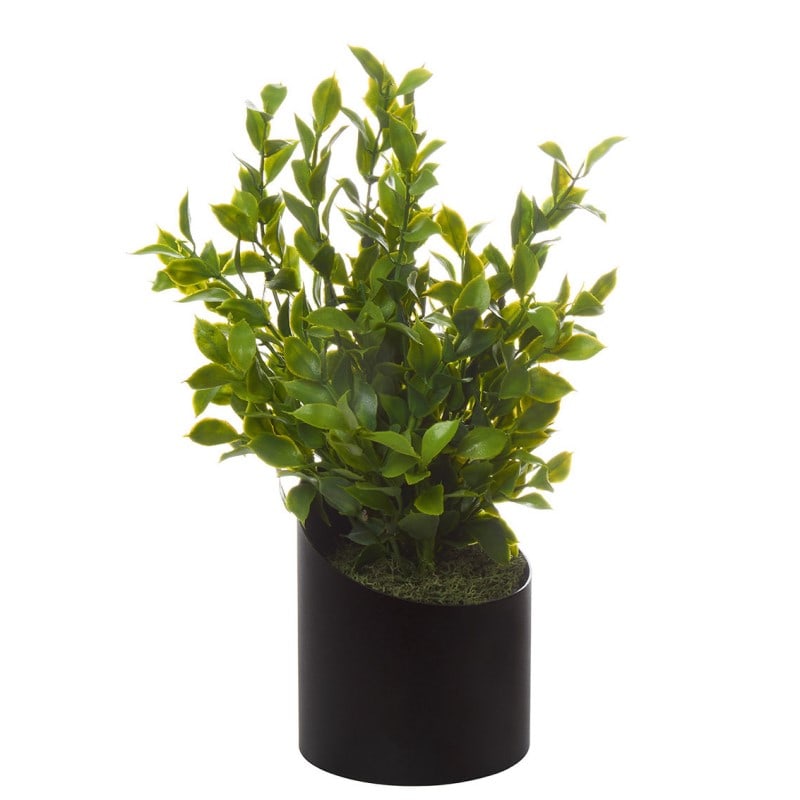 PODOCARPUS artificiel à poser VAGUE
