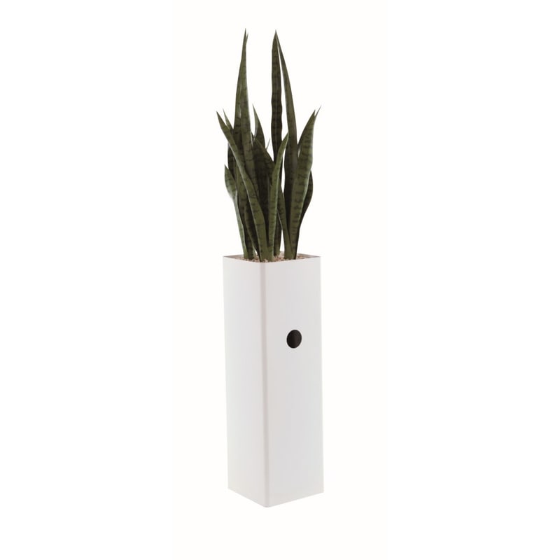 SANSEVERIA artificiel STEELY GENEXCO