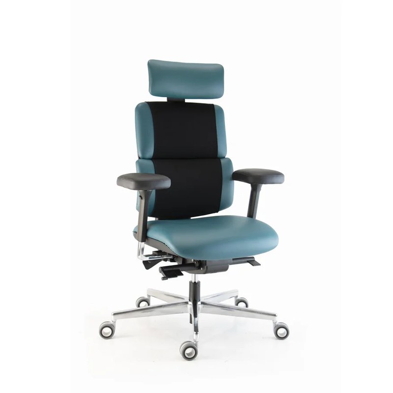 Fauteuil moyen dossier + têtière WI-MAX Ergo