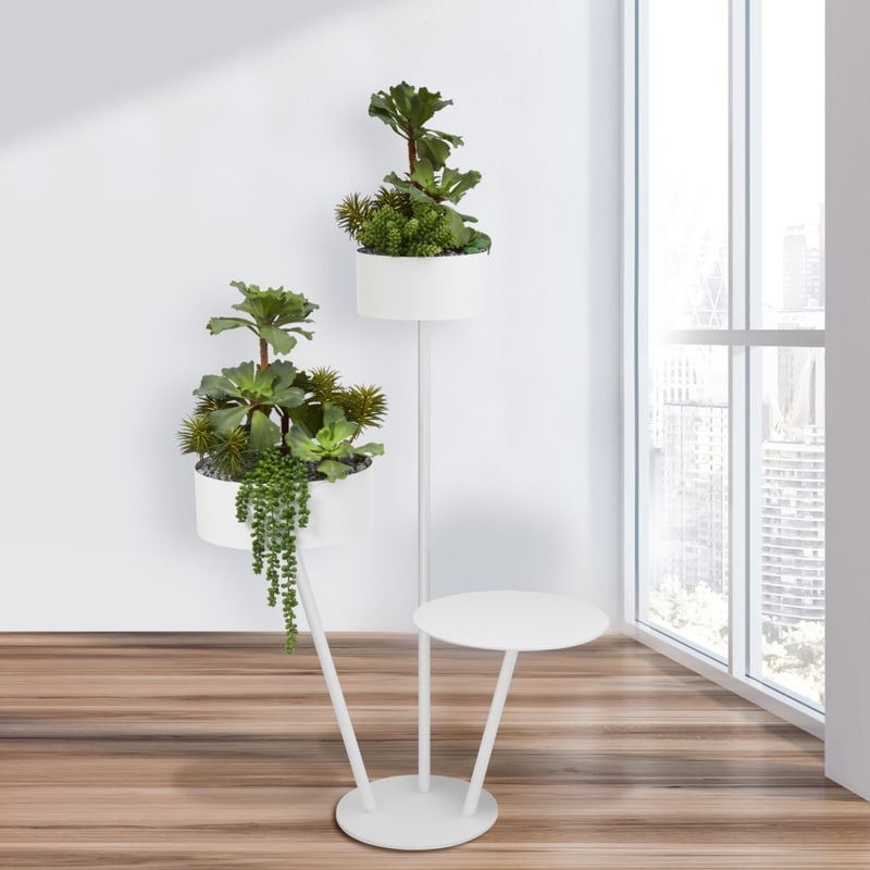 Succulentes en bac avec plateau BABYLONE