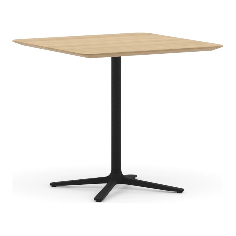 Table TRIFIDAE - PROSTORIA